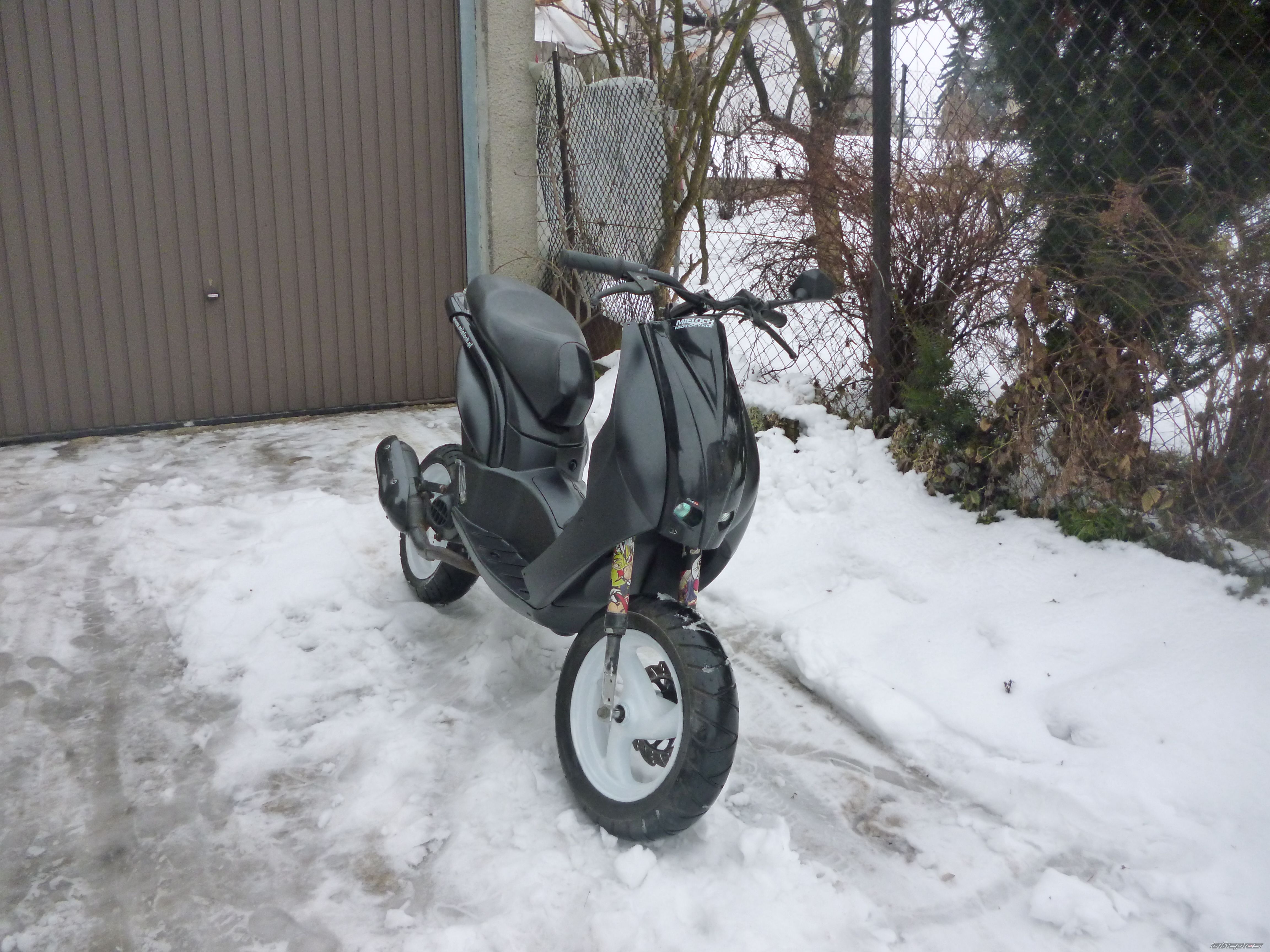 Photo 2520388