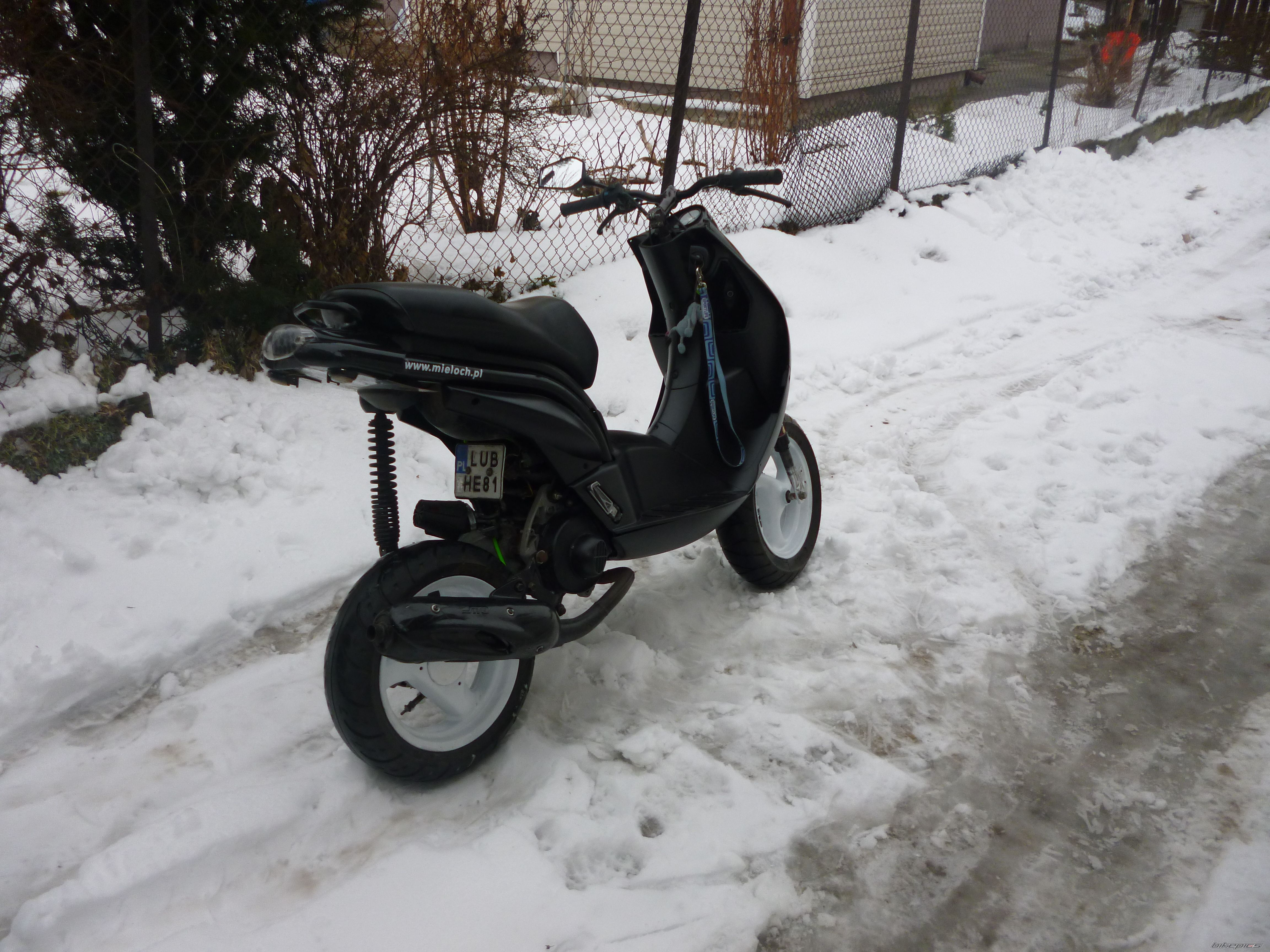 Photo 2520389