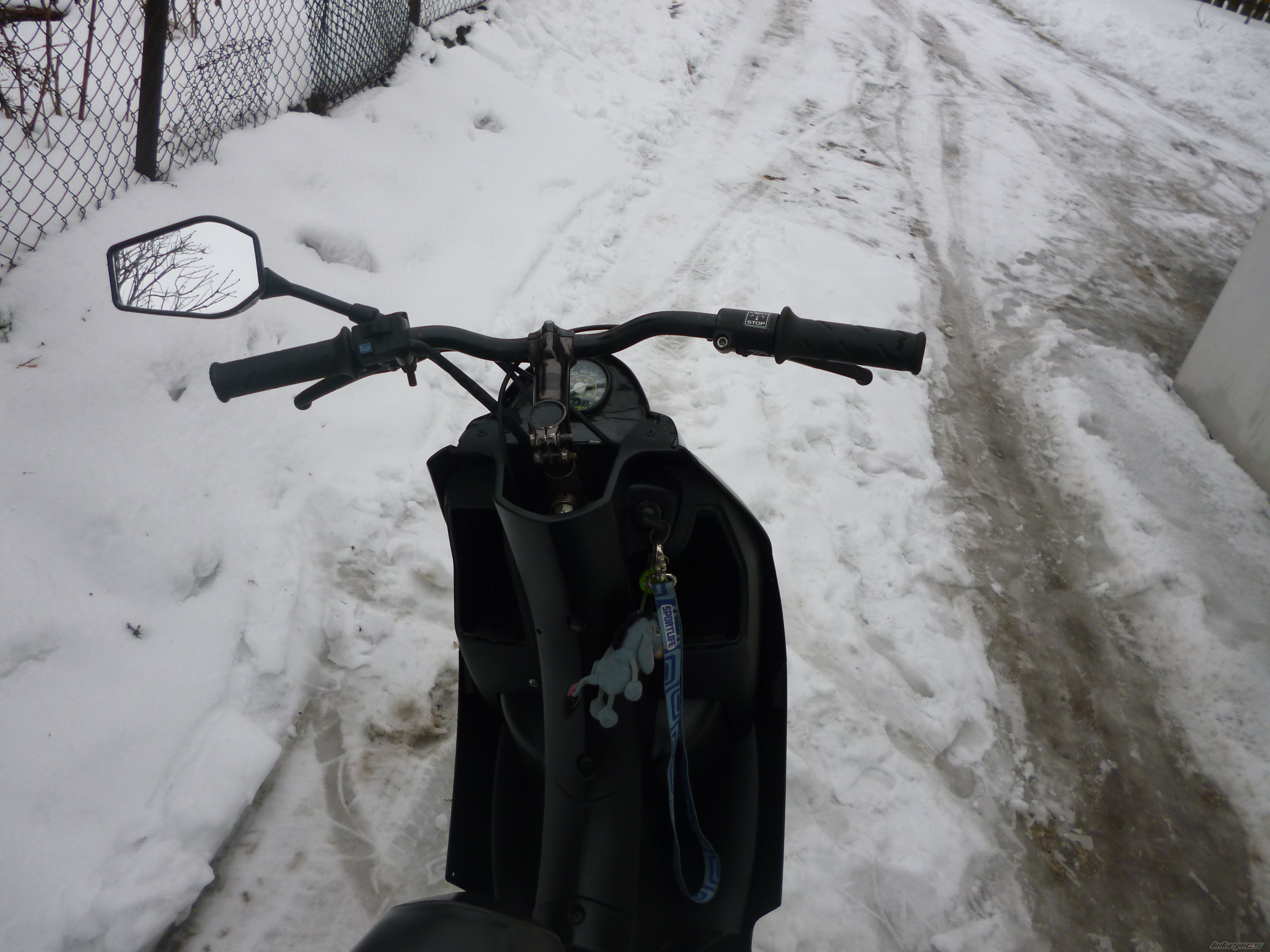 Photo 2520390