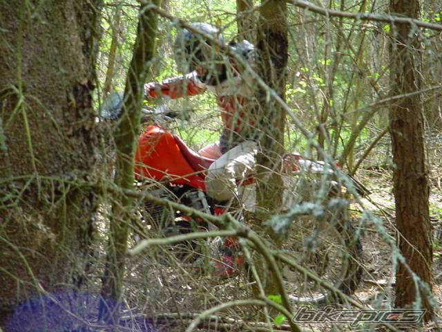 Bike Photo 25204