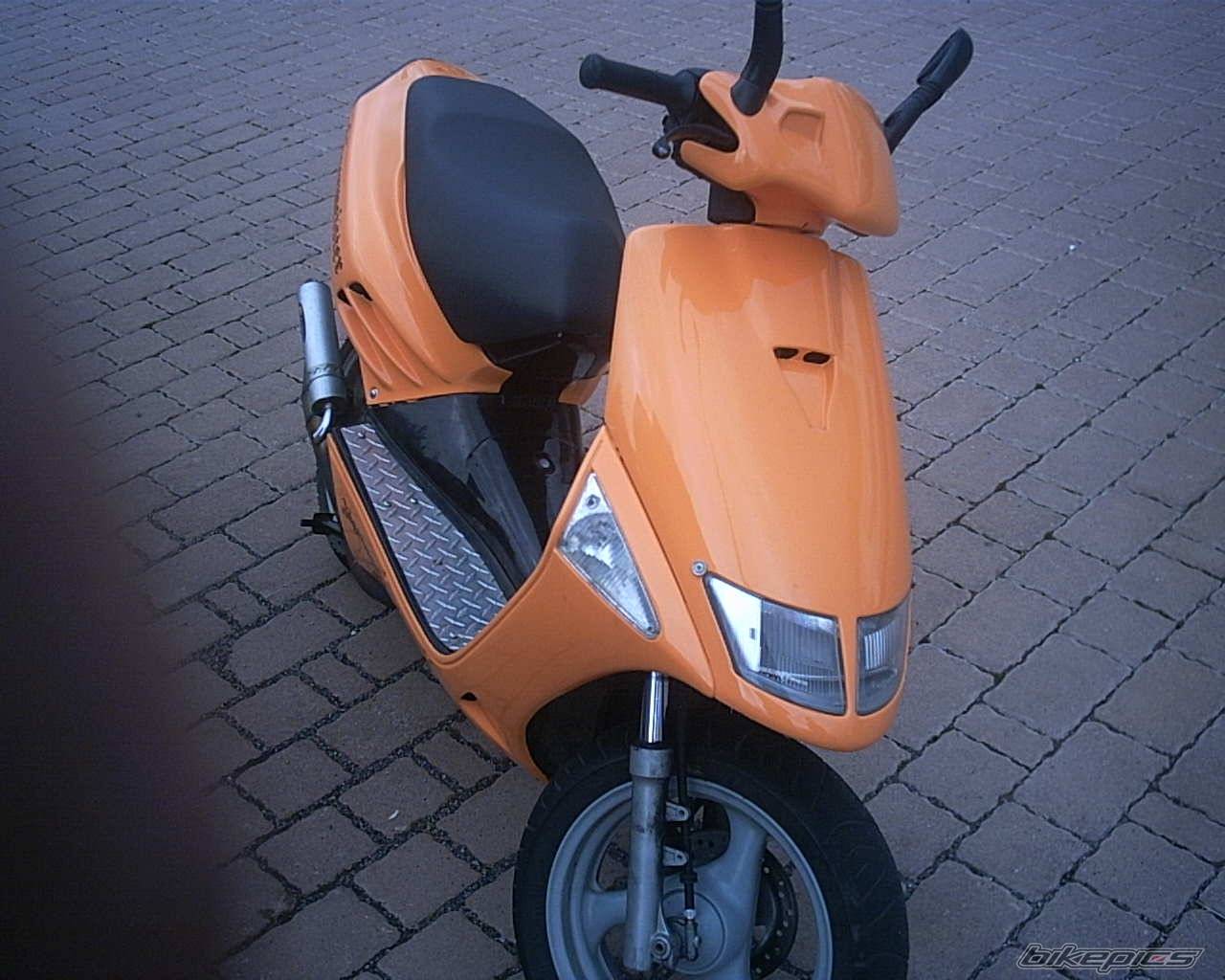 Photo 252042