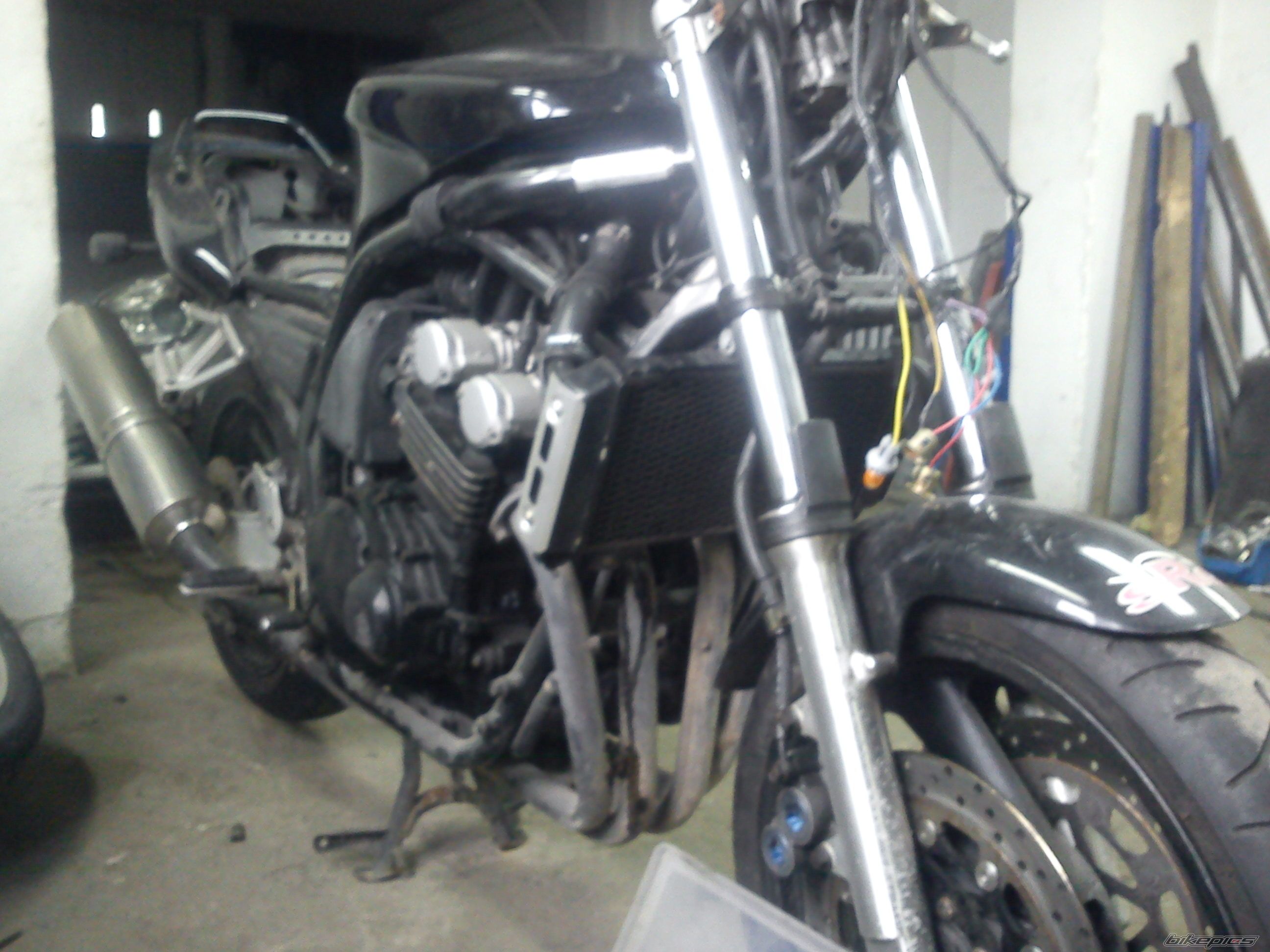Photo 2520521