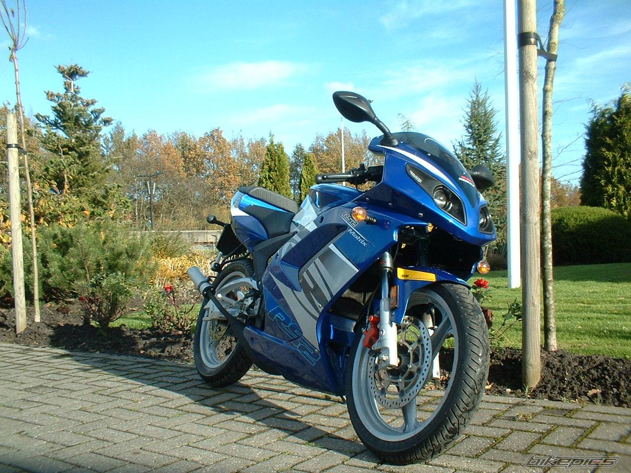 Photo 252071