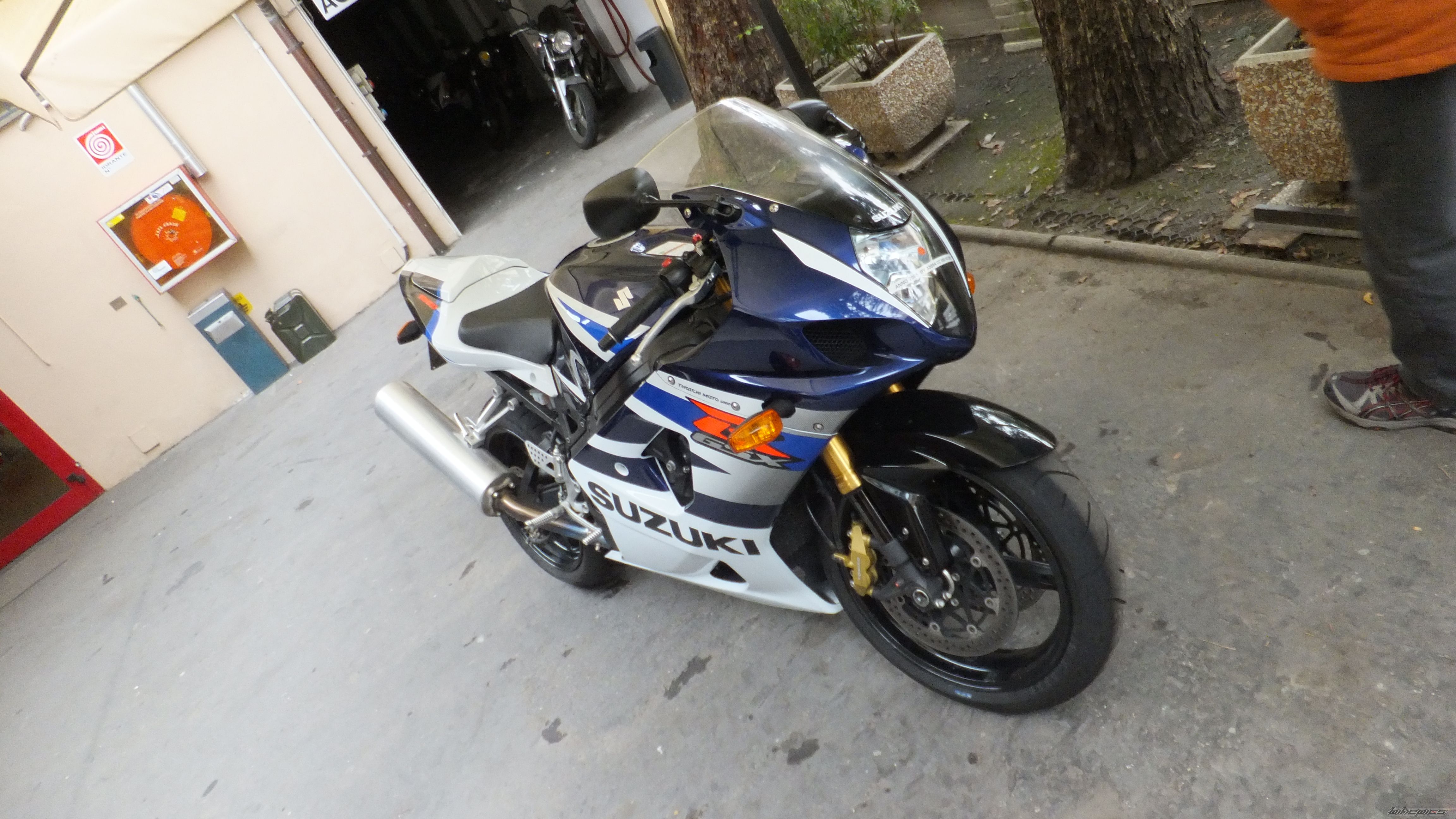 Photo 2520790