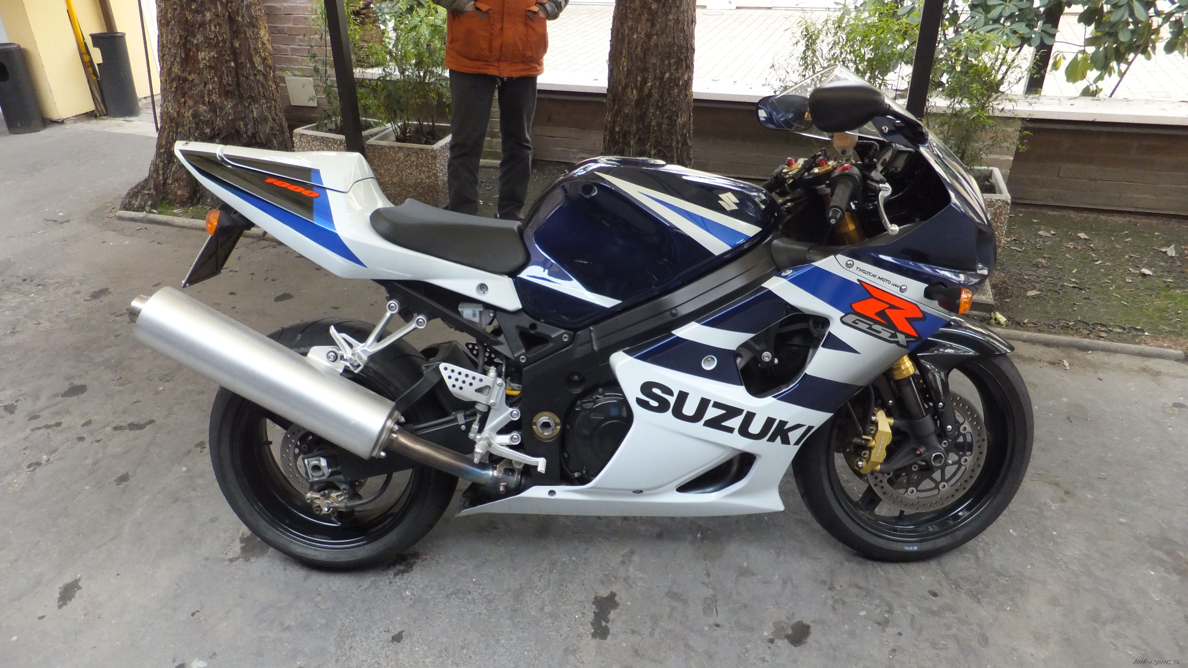 Photo 2520791