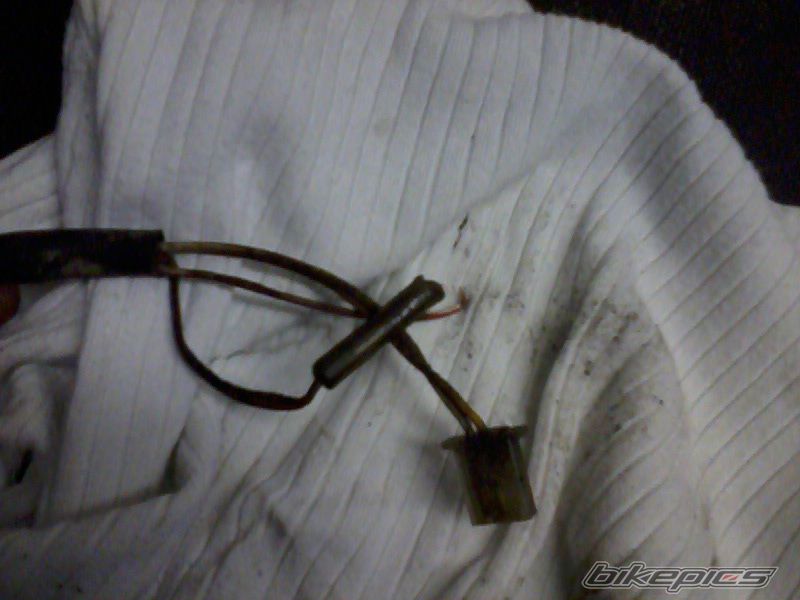 Photo 2520806