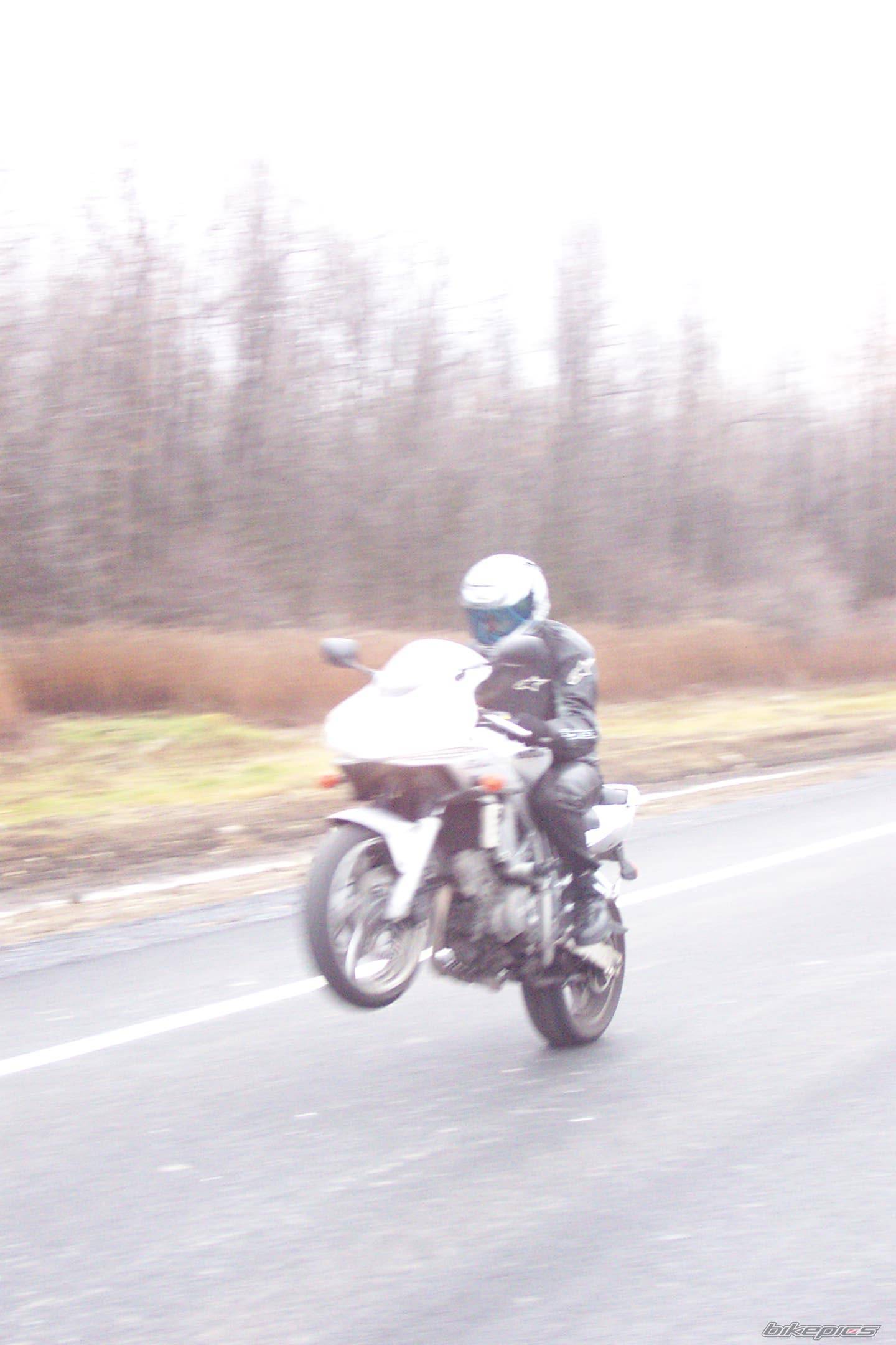 Photo 252083