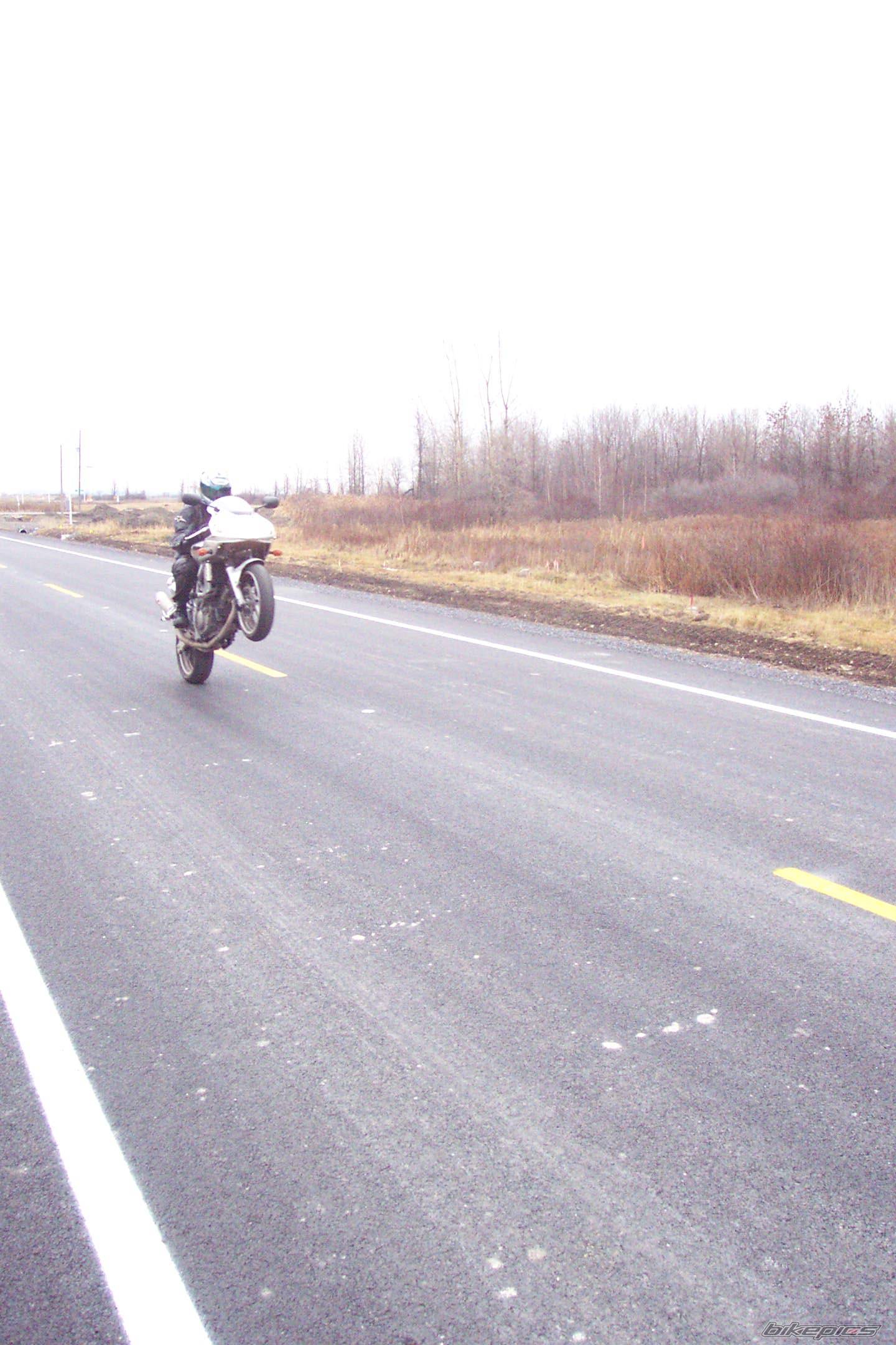 Photo 252088