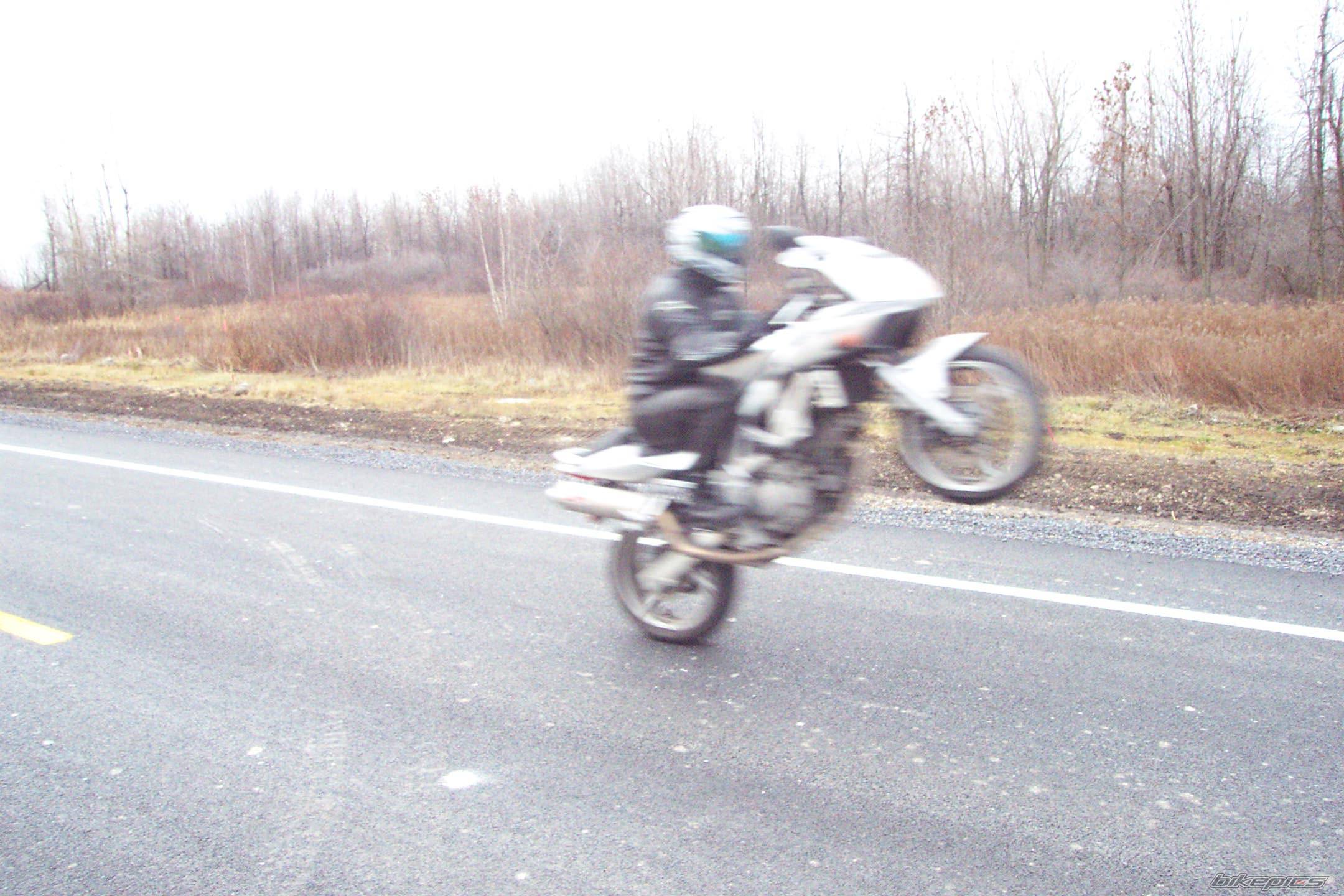 Photo 252092