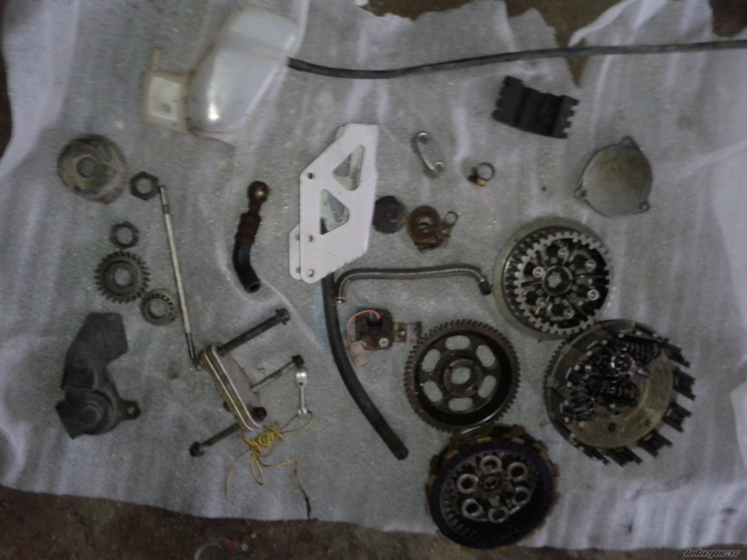 Photo 2520932