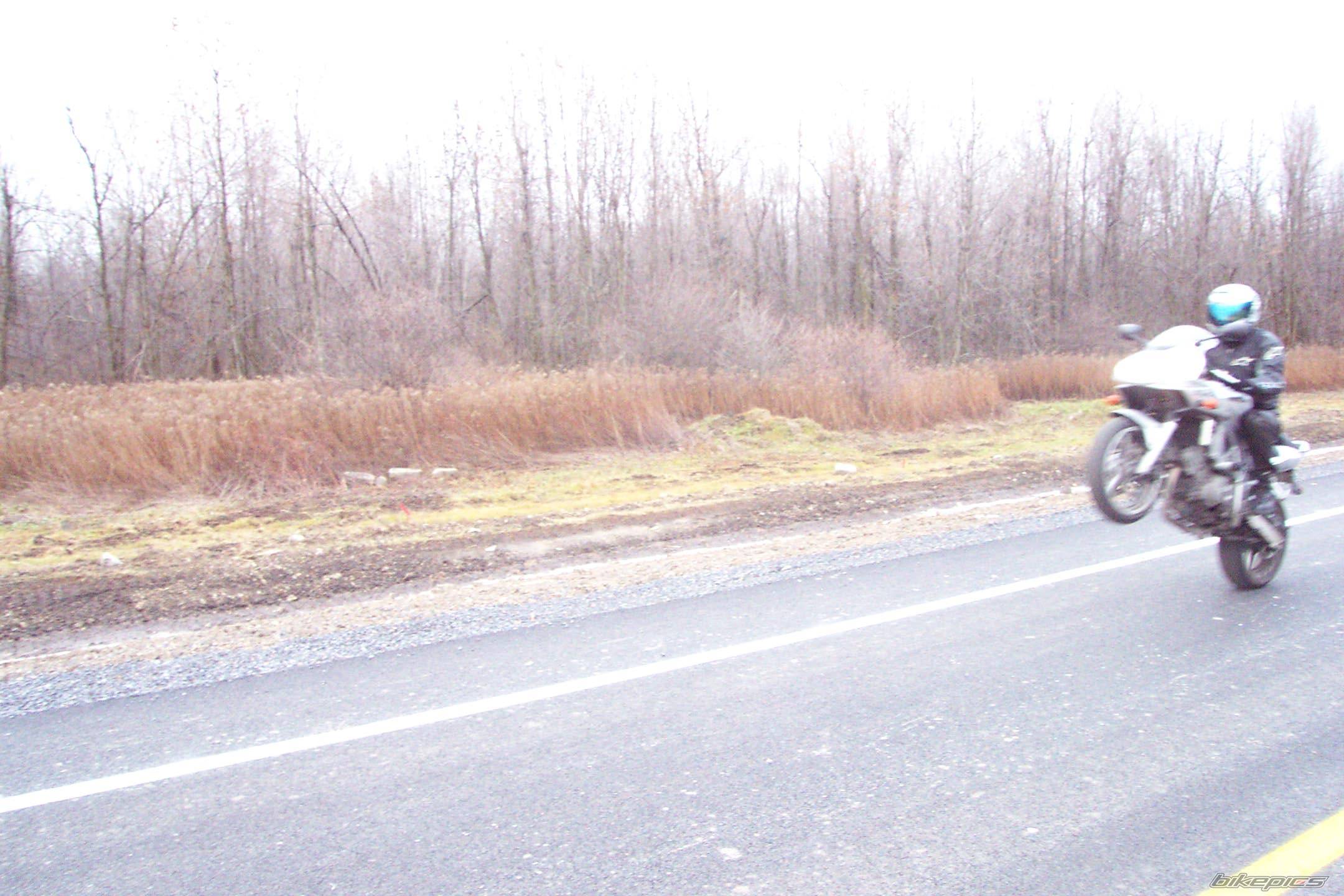Photo 252094