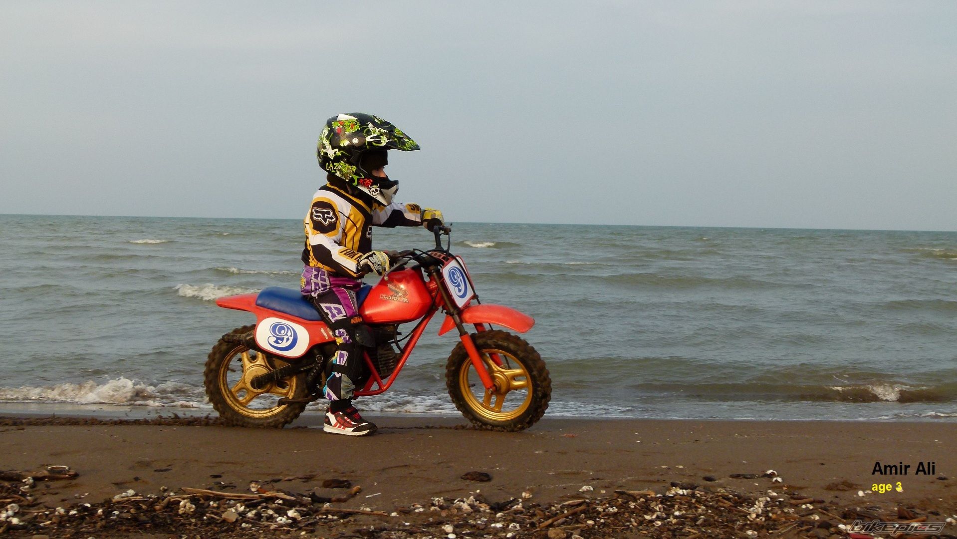 Photo 2520970