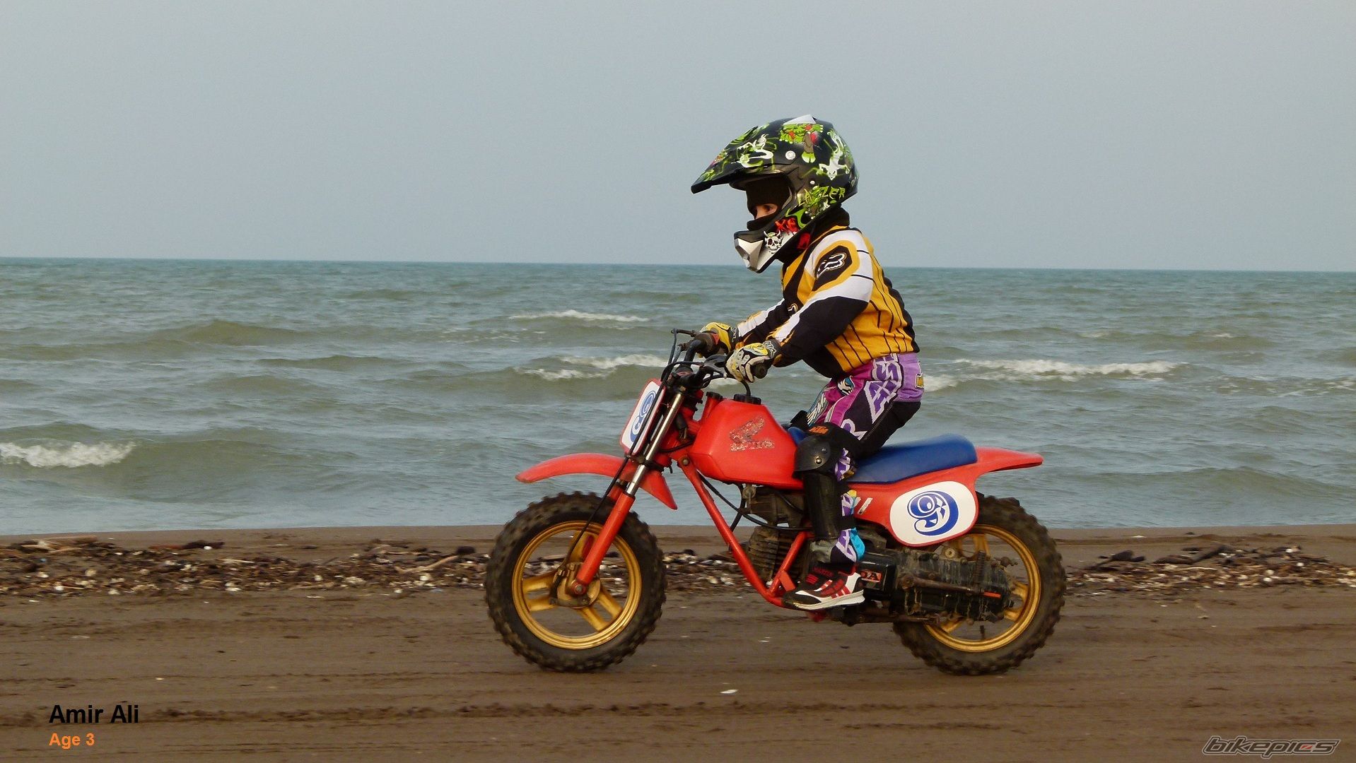 Photo 2520972