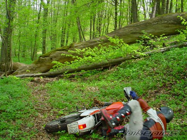 Bike Photo 25210