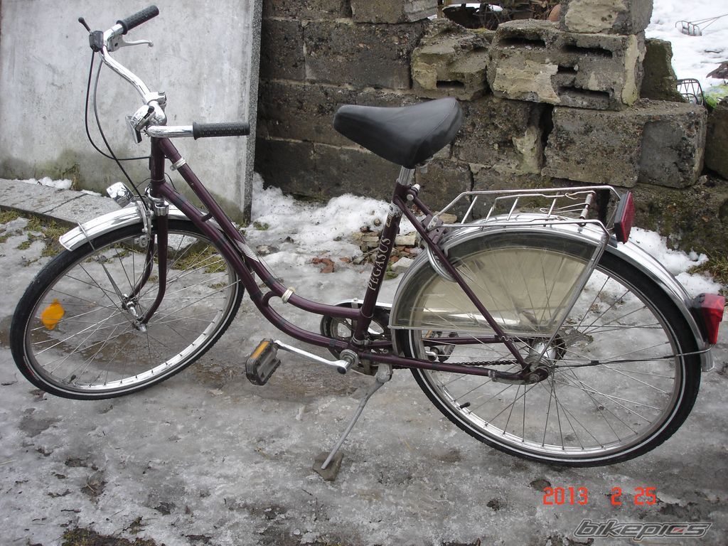 Photo 2521039