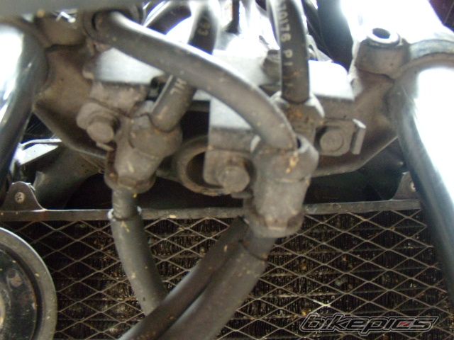 Photo 2521054
