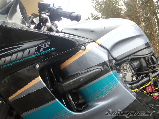 Photo 2521056