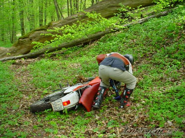Bike Photo 25211