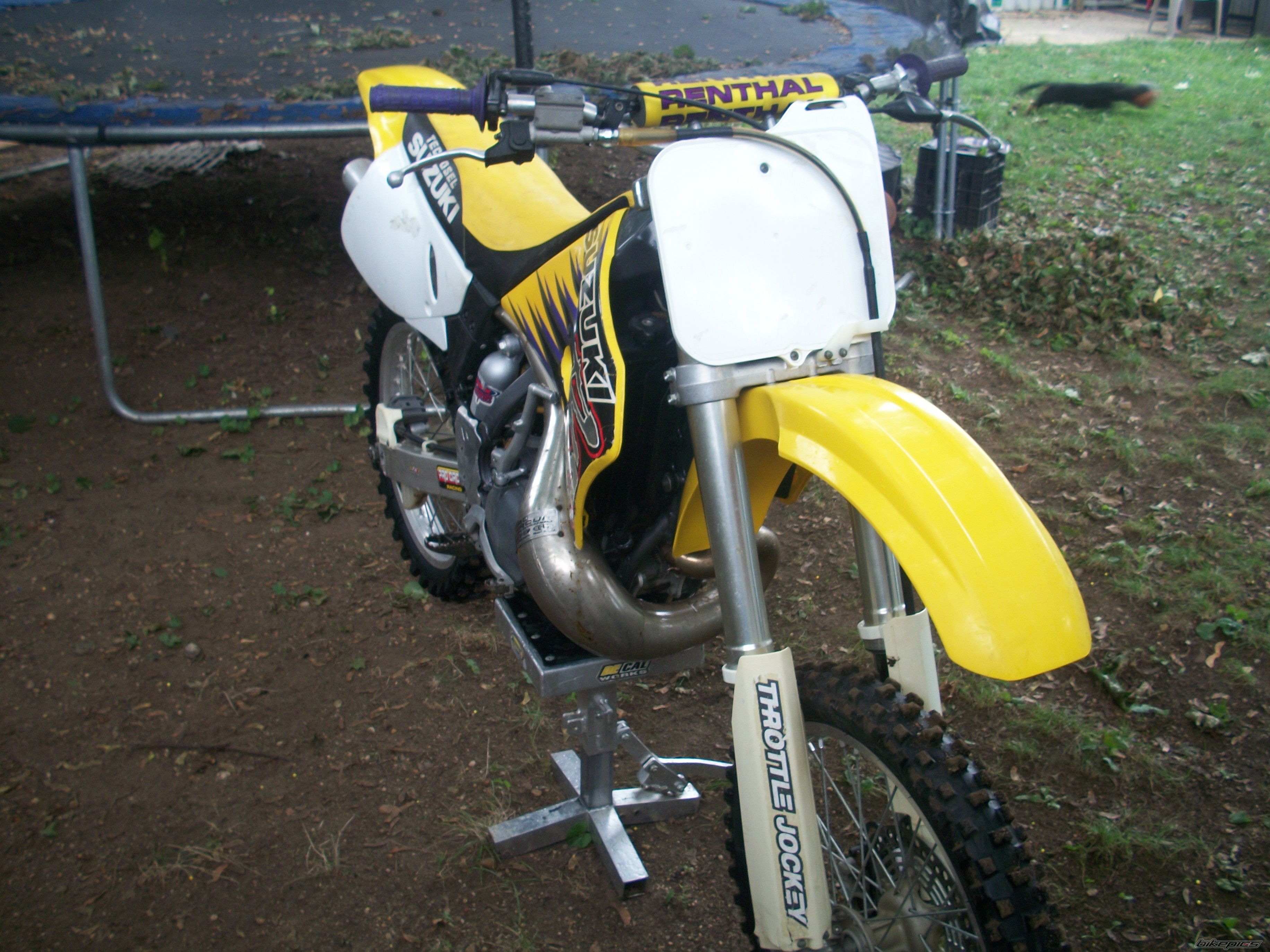 Photo 2521121