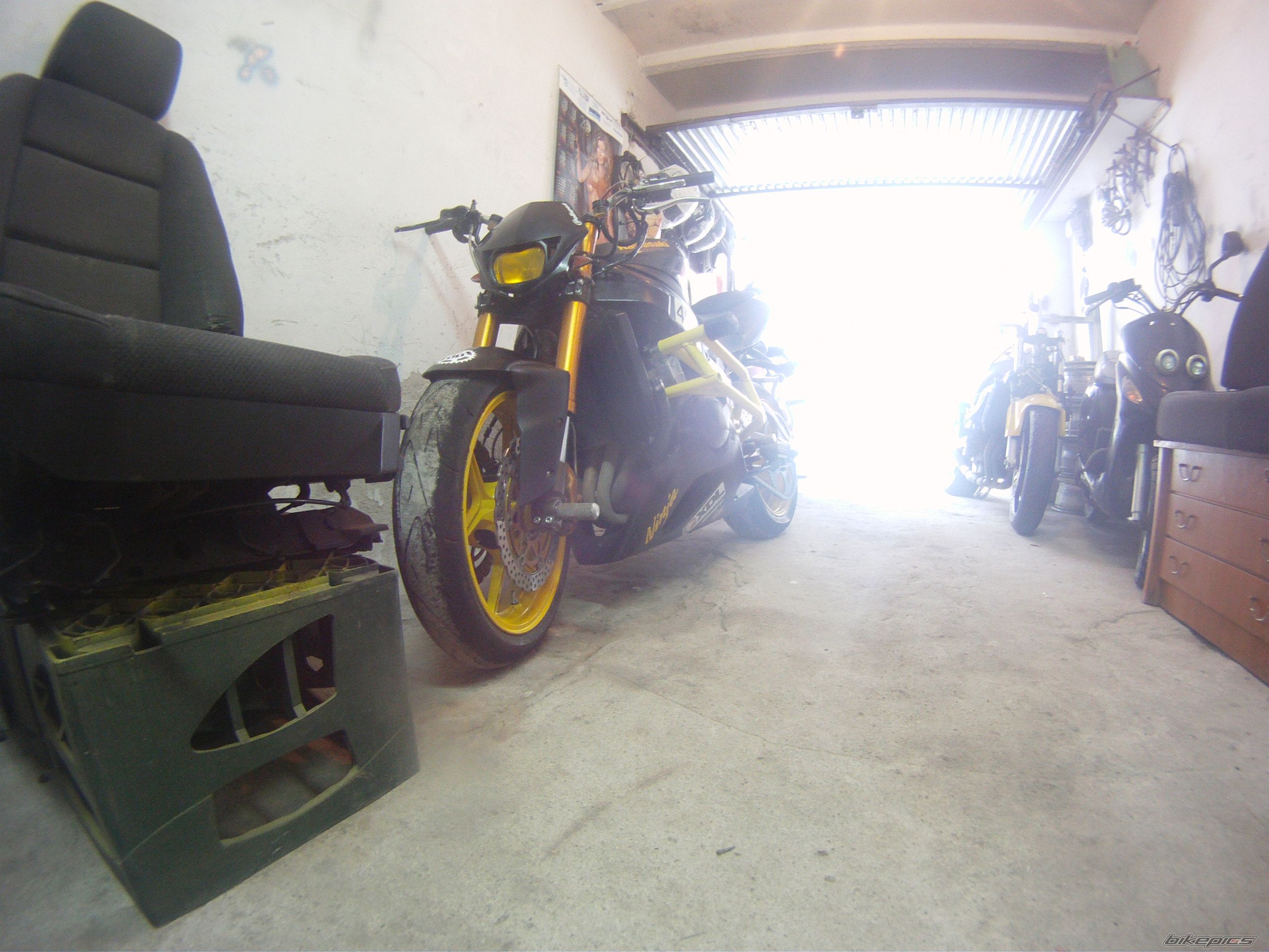 Photo 2521133