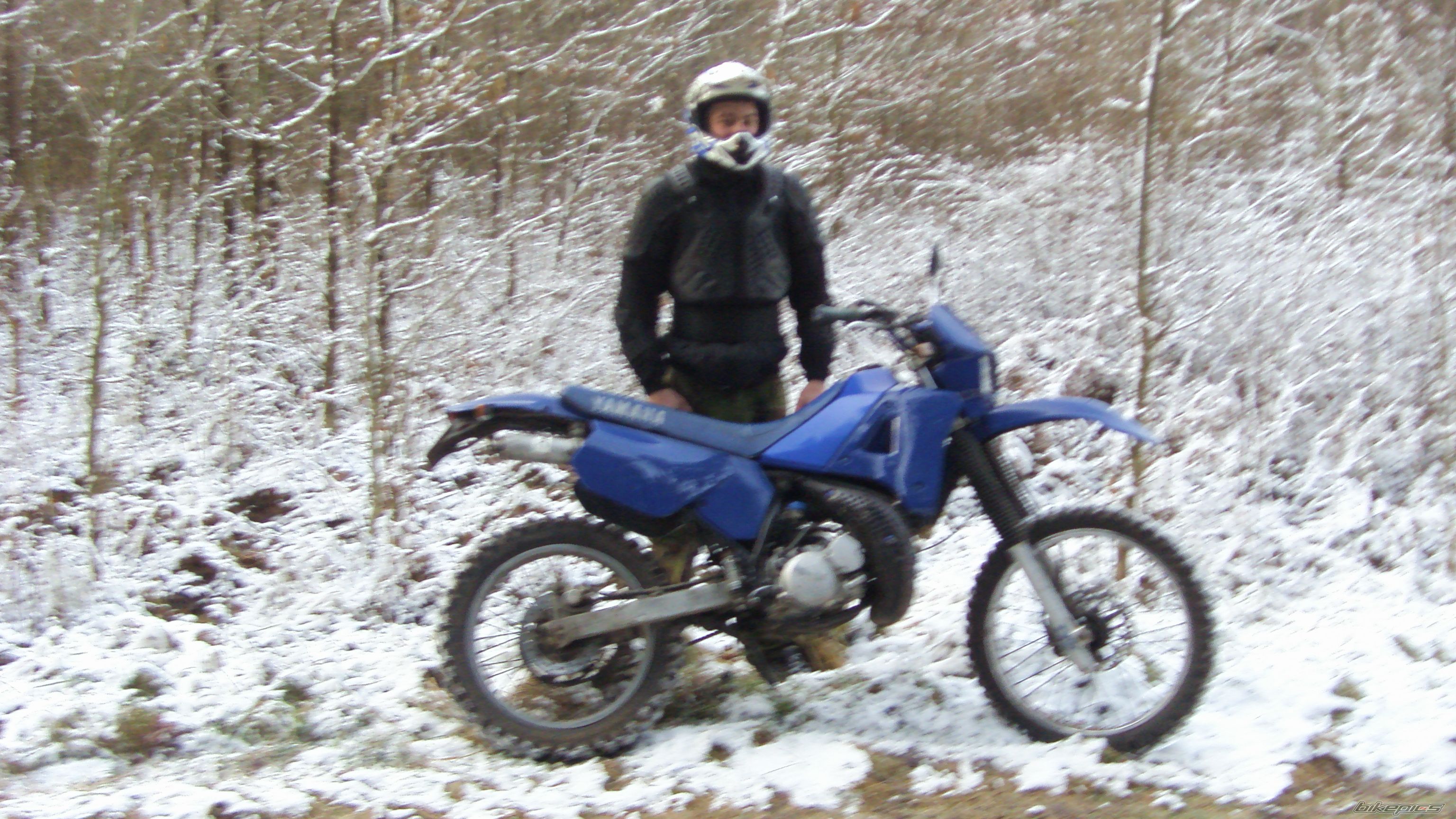 Photo 2521142