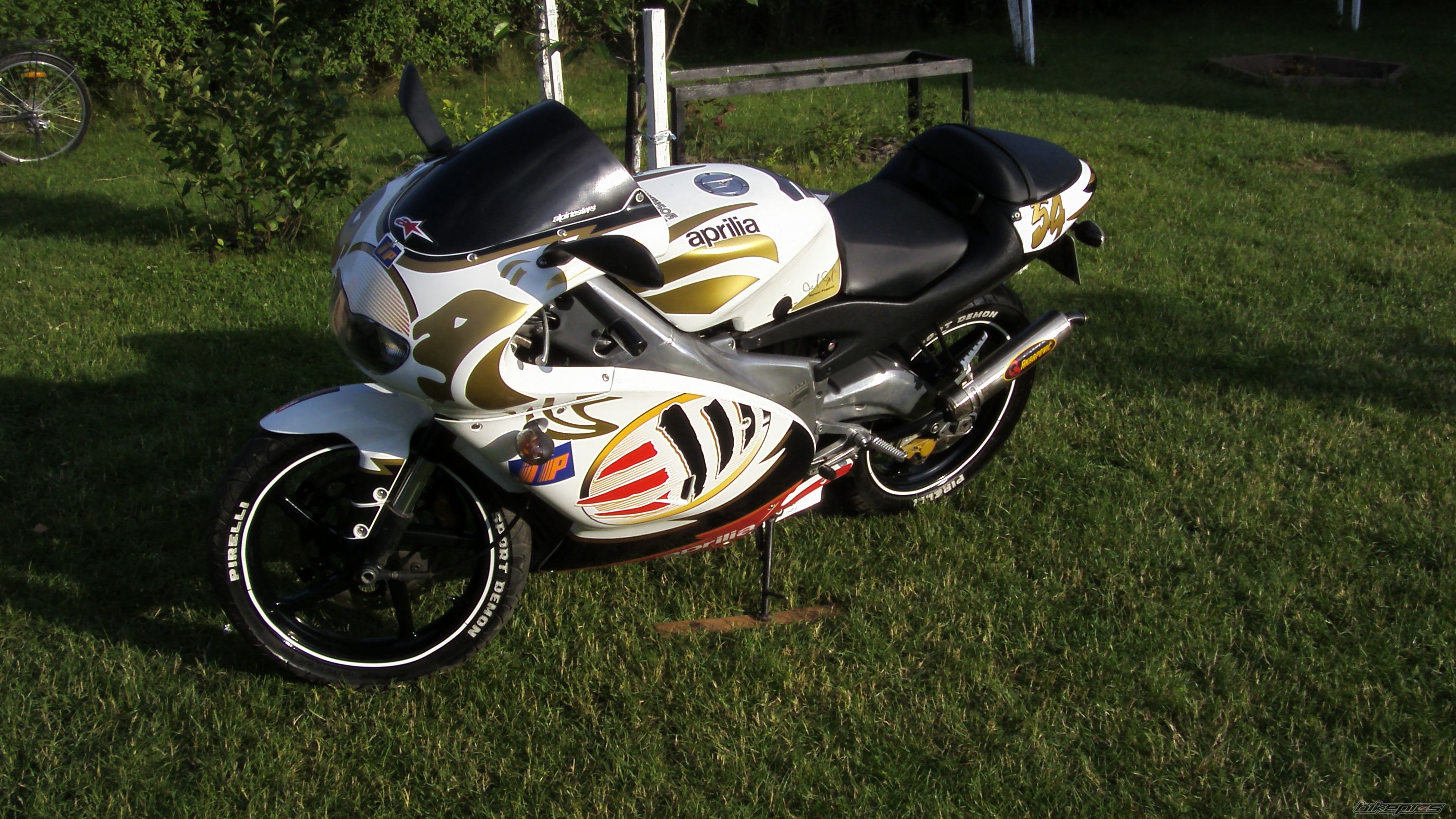 Photo 2521155