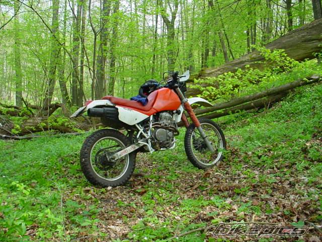 Bike Photo 25212