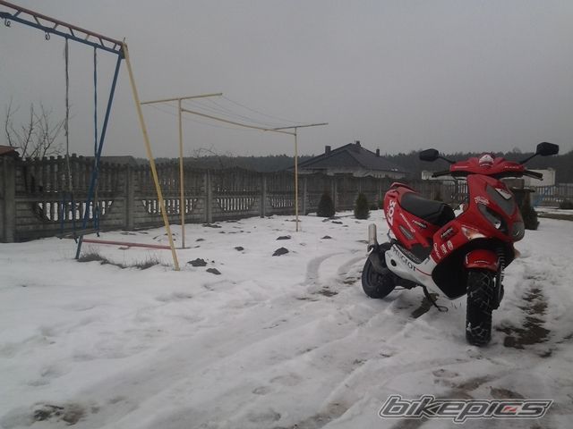 Photo 2521214