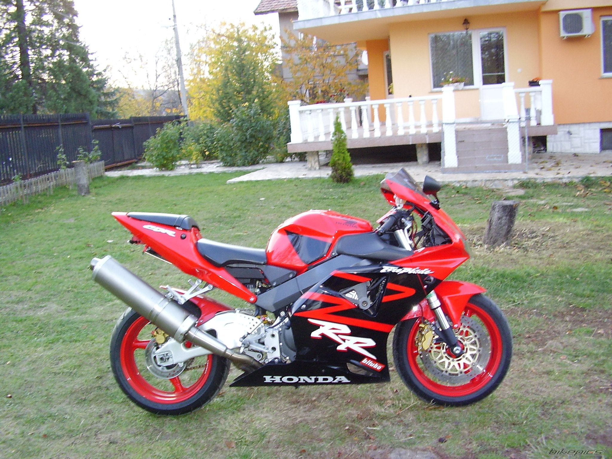 Photo 2521288