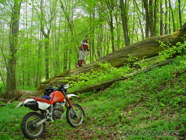 Bike Photo 25213