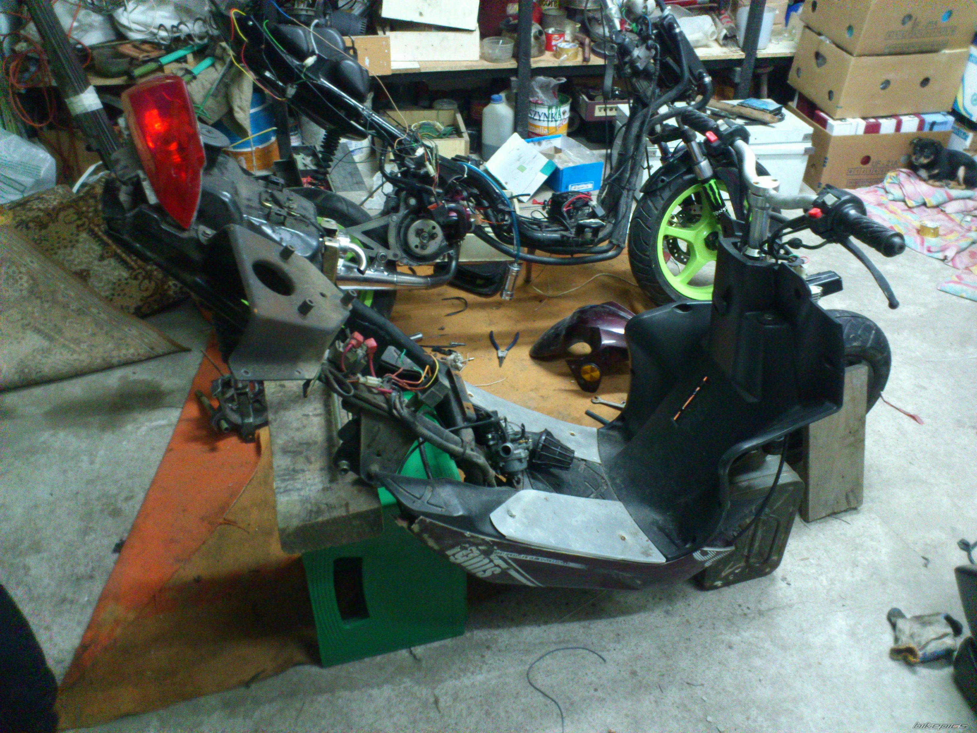 Photo 2521341