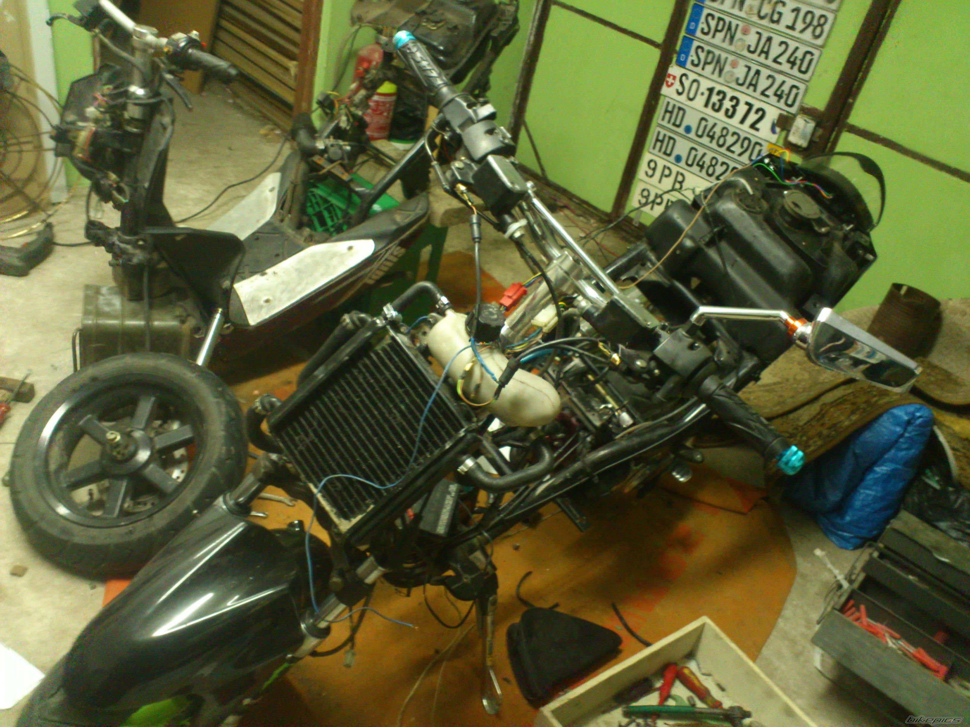 Photo 2521343