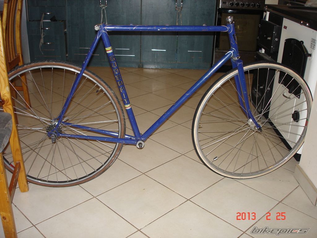 Photo 2521353
