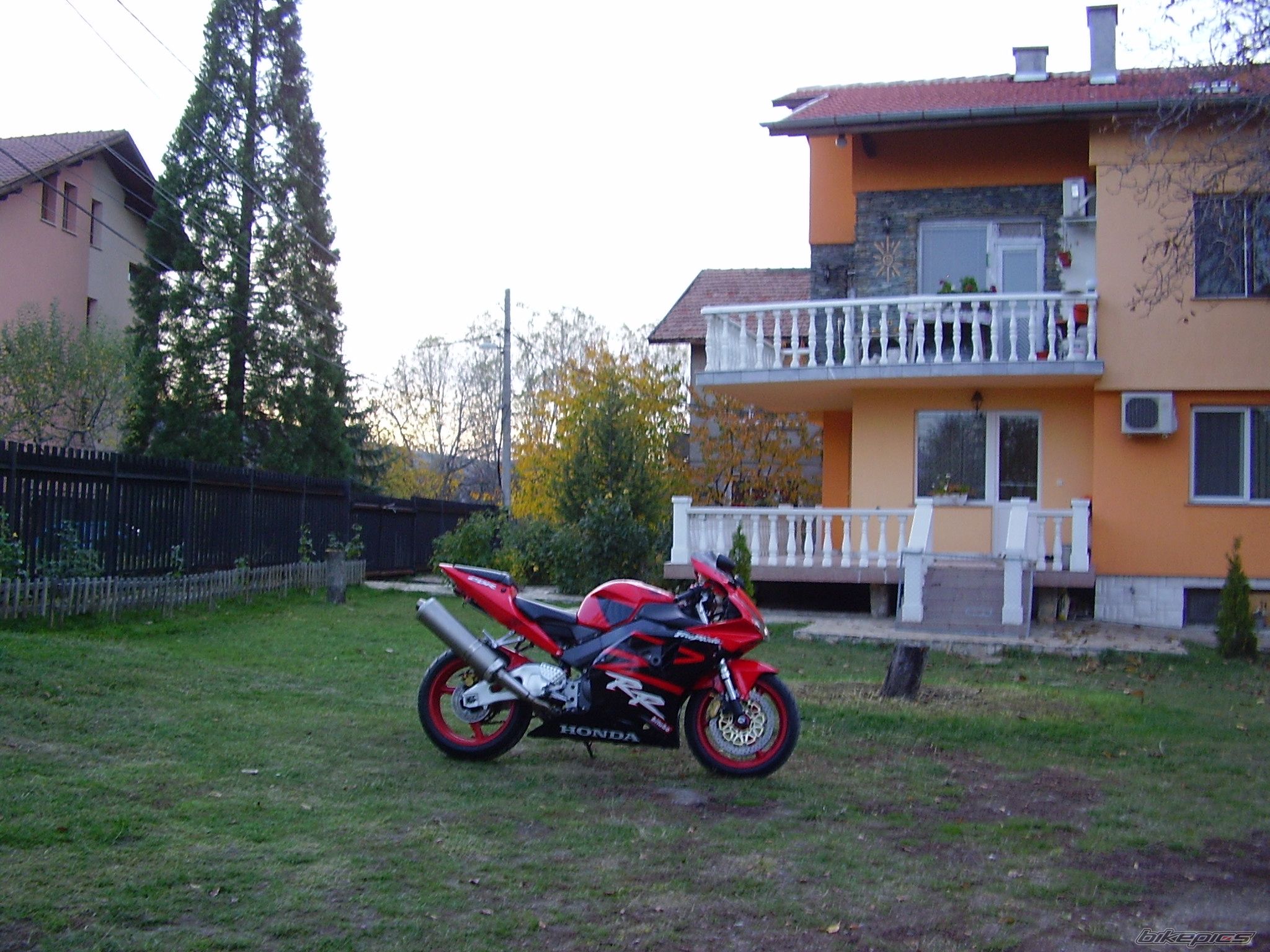Photo 2521368