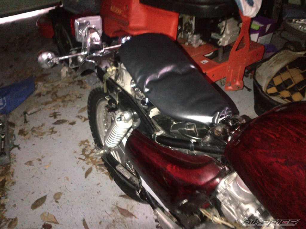 Photo 2521419
