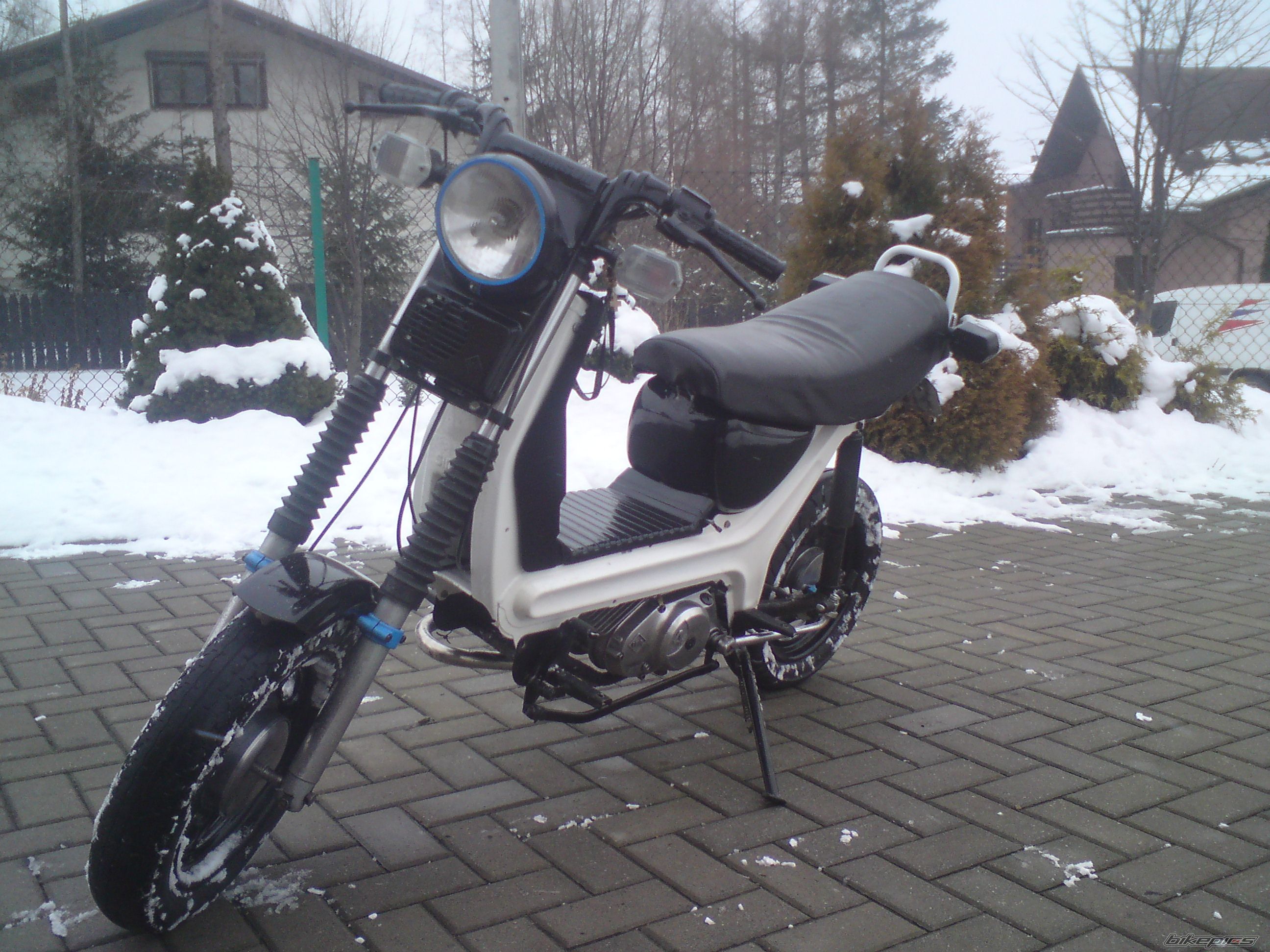 Photo 2521421