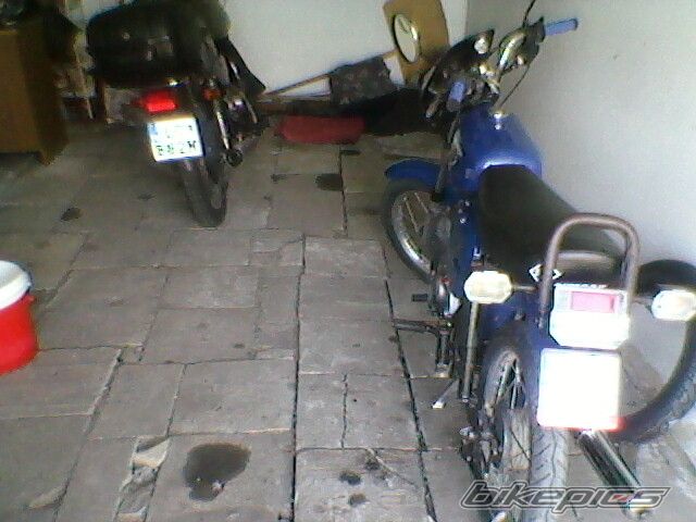 Photo 2521639