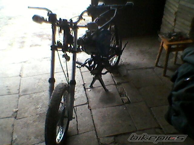 Photo 2521644