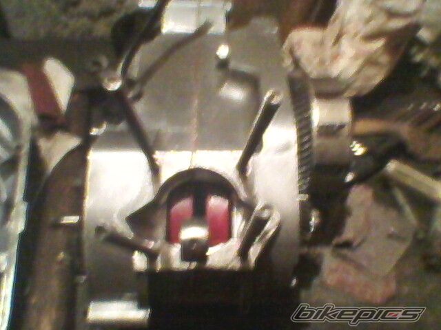 Photo 2521653