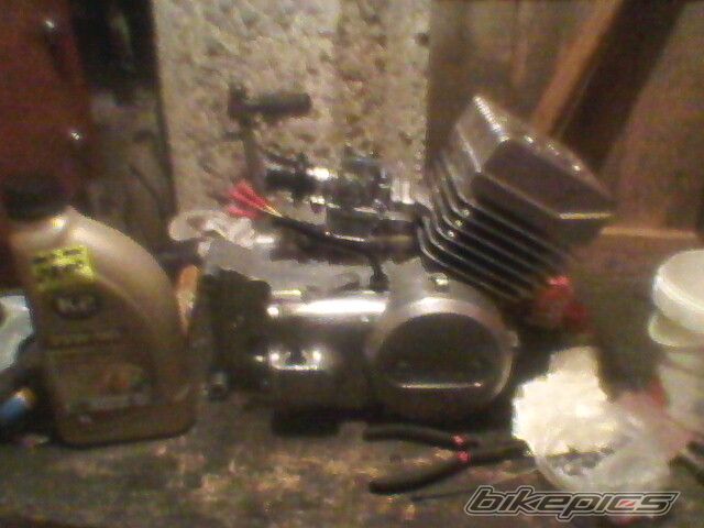 Photo 2521657