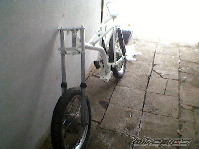 Photo 2521668
