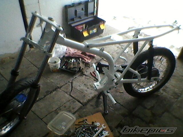 Photo 2521670