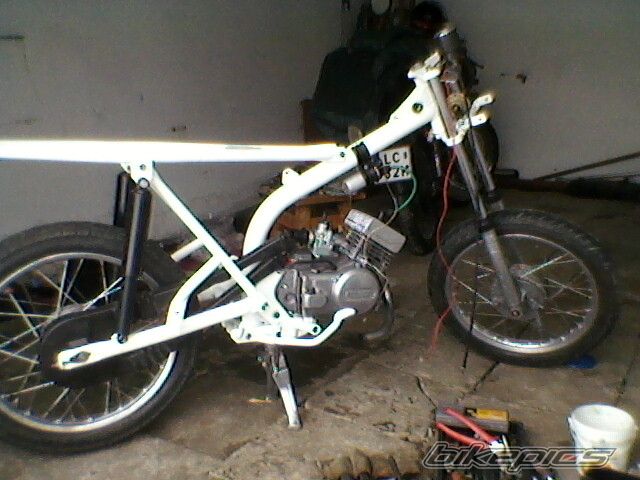 Photo 2521673