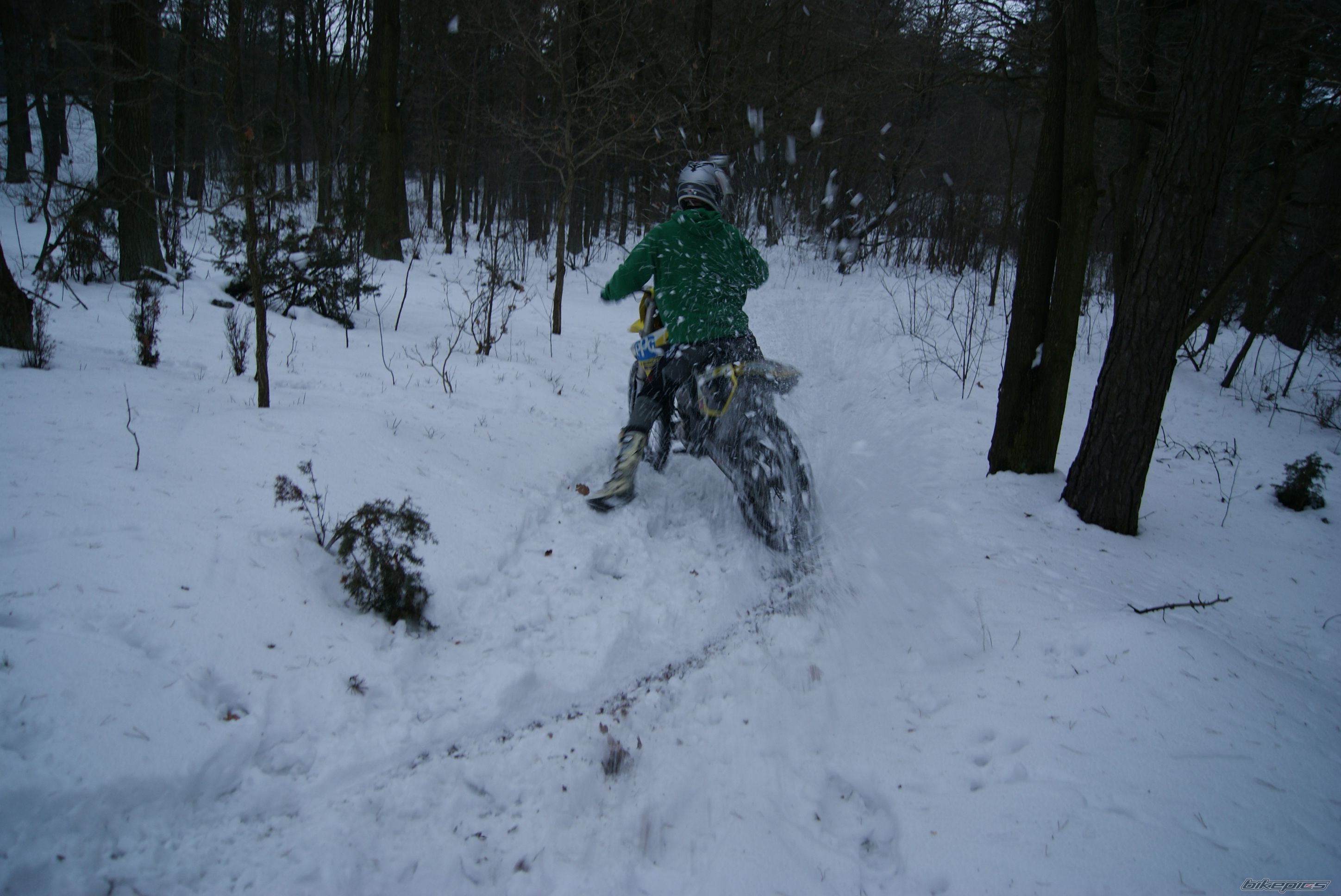 Photo 2521692