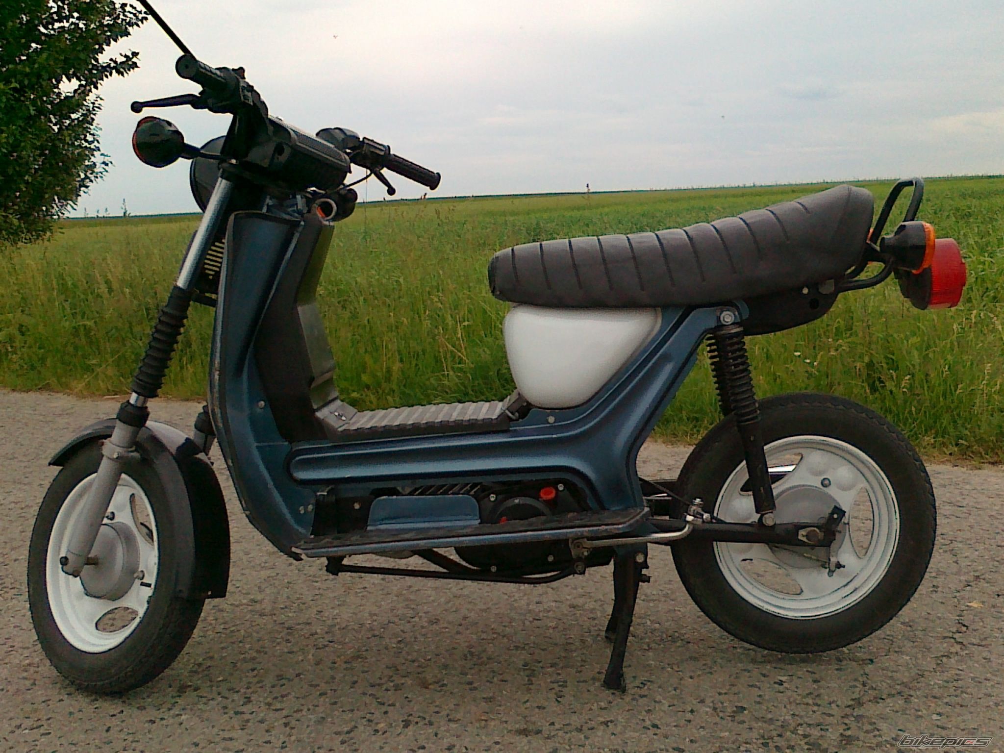 Photo 2521710