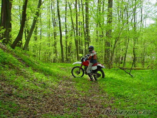 Bike Photo 25218