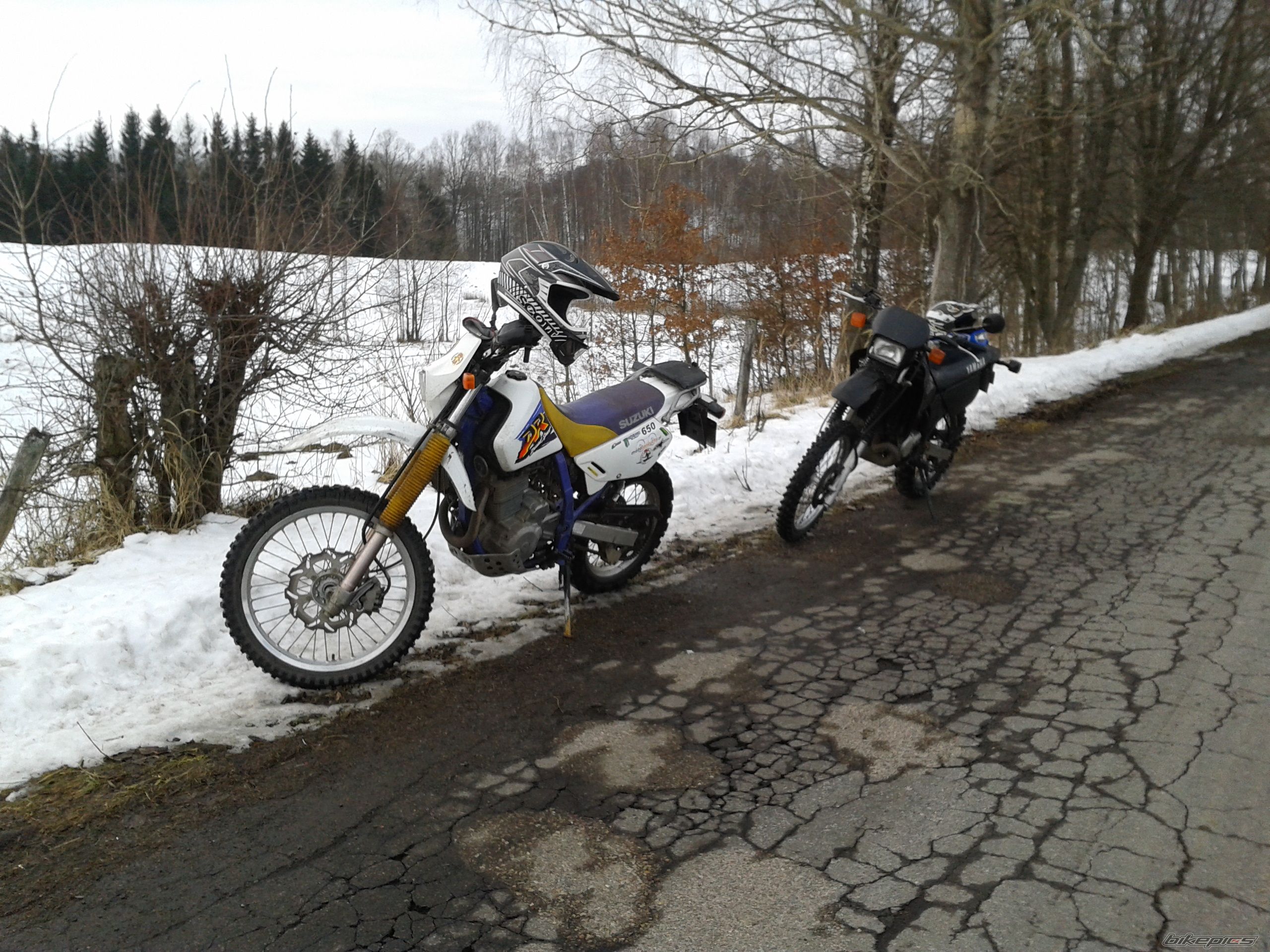 Photo 2521840