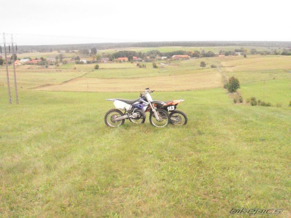 Photo 2521908