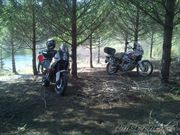 Photo 2521921