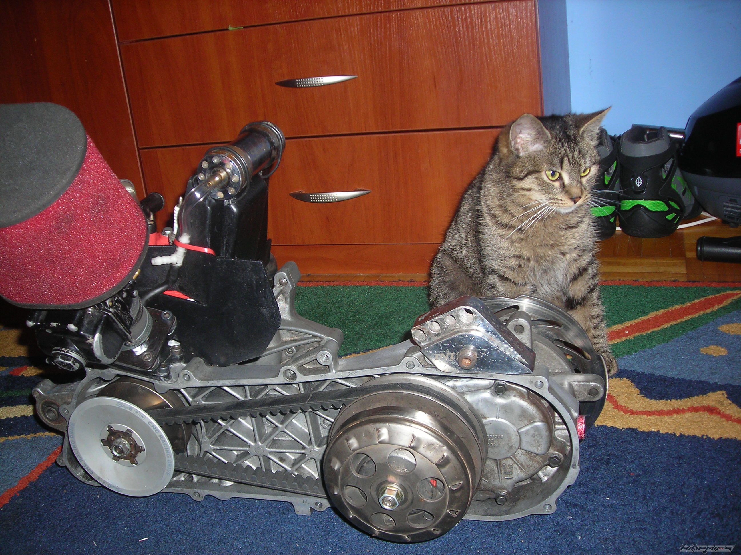 Bike Photo 2521949